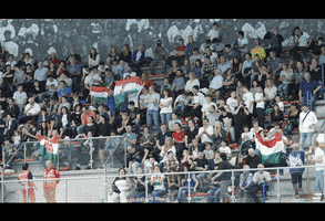 vodafone  GIF