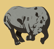 LaPageDeCam yellow africa rhino horn GIF