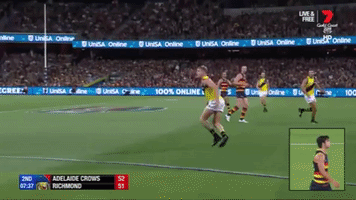 darcy fogarty GIF by Adelaide Crows