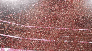 national championship sport GIF by College Football Playoff