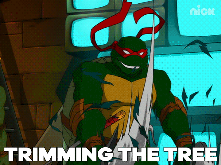 Ninja Turtles Christmas GIF by Teenage Mutant Ninja Turtles