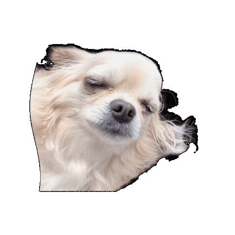 Waking Up What Sticker