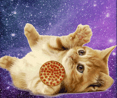pew pew pizza GIF by audreyobscura