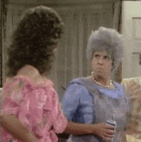 mamas family 80s tv GIF by absurdnoise