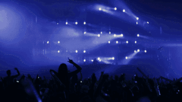 nimapirzadeh festival stockholm tiesto goteborg GIF