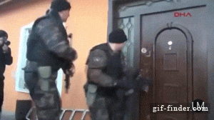 giphy.gif