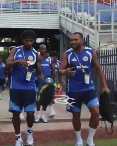 Fifa World Cup GIF by Respective