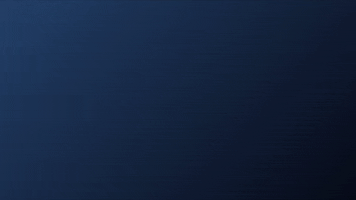SAVT GIF