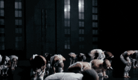 giphy.gif?cid=6c09b9526a09zq7ujid3b1g9g7