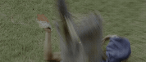 The Shaolin Temple GIF