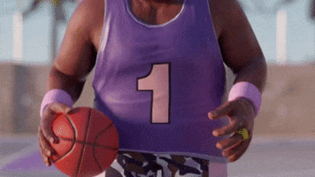 Basketballverse basketball hodl basketballverse hold the ball GIF
