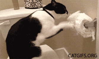 thats GIF