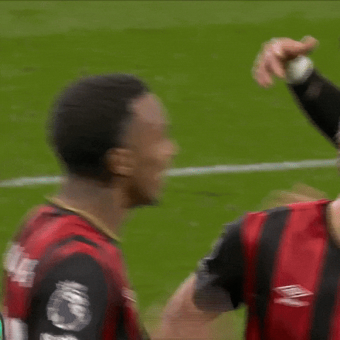 Celebrating Premier League GIF by AFC Bournemouth