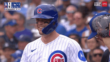 Chicago Cubs Smile GIF