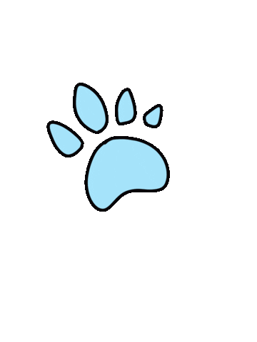 Face Sticker