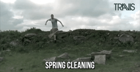 spring cleaning meaning, definitions, synonyms