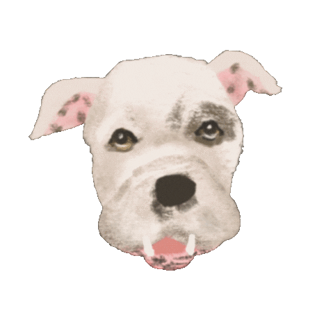 Mixed Breed Dogs Sticker by breadcrumbsclub