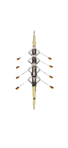 World Rowing Deutschland Sticker by UlfBo