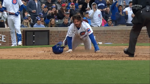Soto-dancing-dugout GIFs - Get the best GIF on GIPHY