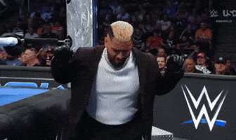 Wwe GIF