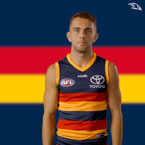 Wink Celebrate GIF by Adelaide Crows