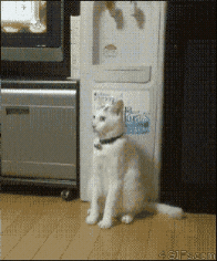 Click image to see full size (opens in this window) İmage