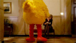 big bird