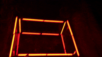 dantemuzquiz  GIF