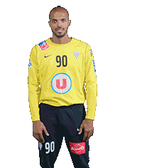 Angersscohandball Sticker