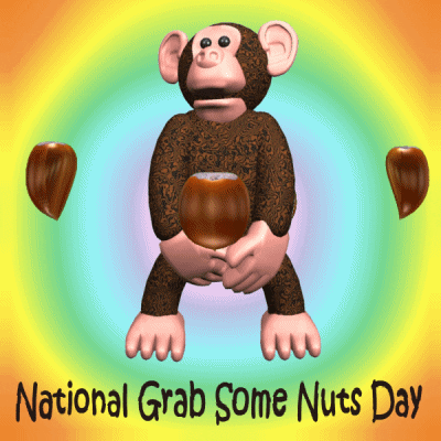 Nuts Chestnuts GIF