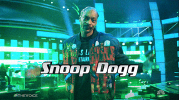 Snoop Dogg GIF by The Voice