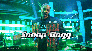 Snoop Dogg GIF by The Voice