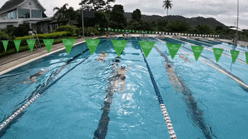 Swimming Pool GIF