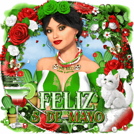 Mexico Puebla GIF