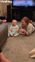 What gif reduces you to hysterical laughter every time? : r/AskReddit