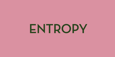entropies meaning, definitions, synonyms