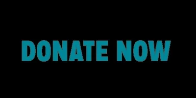 donate GIF by Barn Sanctuary
