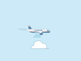 Private Jet GIF