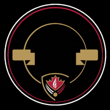 20Years GIF by TheHillAcademyKH