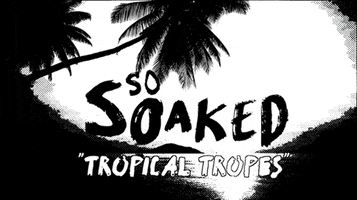 Palm Tree Tropes GIF by Four Rest Films