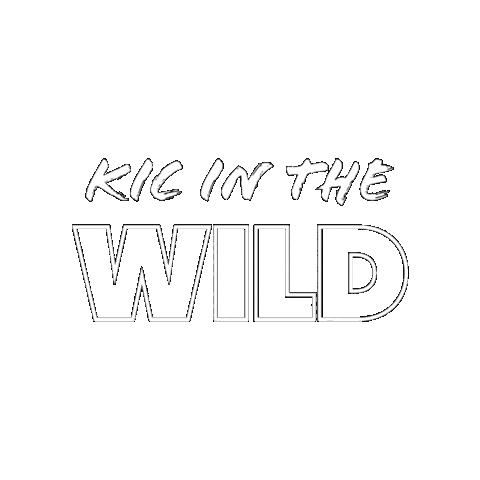 Kicrealestate Sticker by KIC Realty