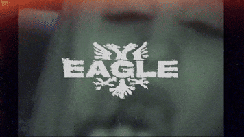 Eagle Albania GIF by D-Block Europe