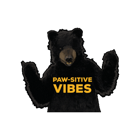 Fun Vibes Sticker by BlackBearDiner