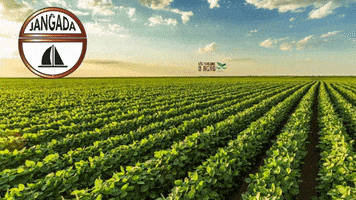 Agro Jangada GIF