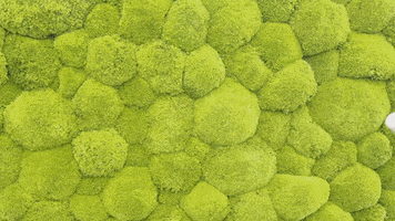 GIF by Staffbase