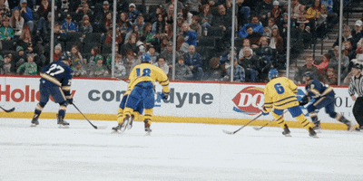 Hockey Goal GIF by Hockeyland