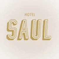 hotelsaul GIF