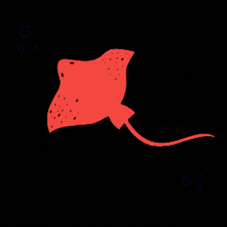 Rajaplavanie GIF by Raja – škola športu