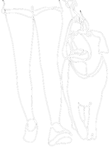 Dog Walk Sticker by Armyfordogs