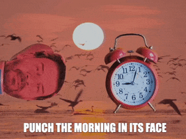 You Got This Alarm Clock GIF by ShreddiesUK